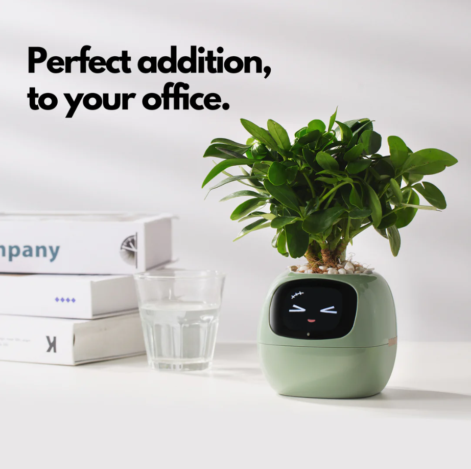 Ivy Smart Companion Anti Stress